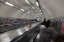 DSCF3639.JPG