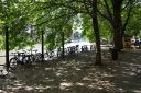 DSCF3756.JPG